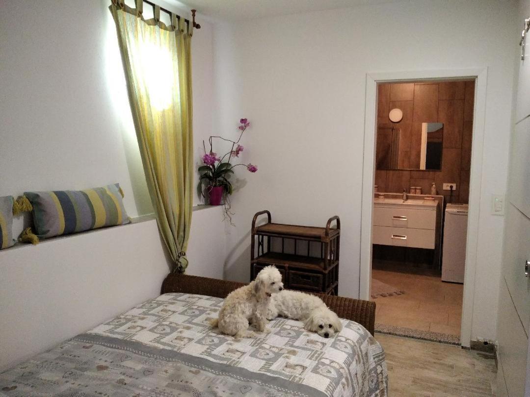 Apartment Trieste M&M Muggia Exterior photo